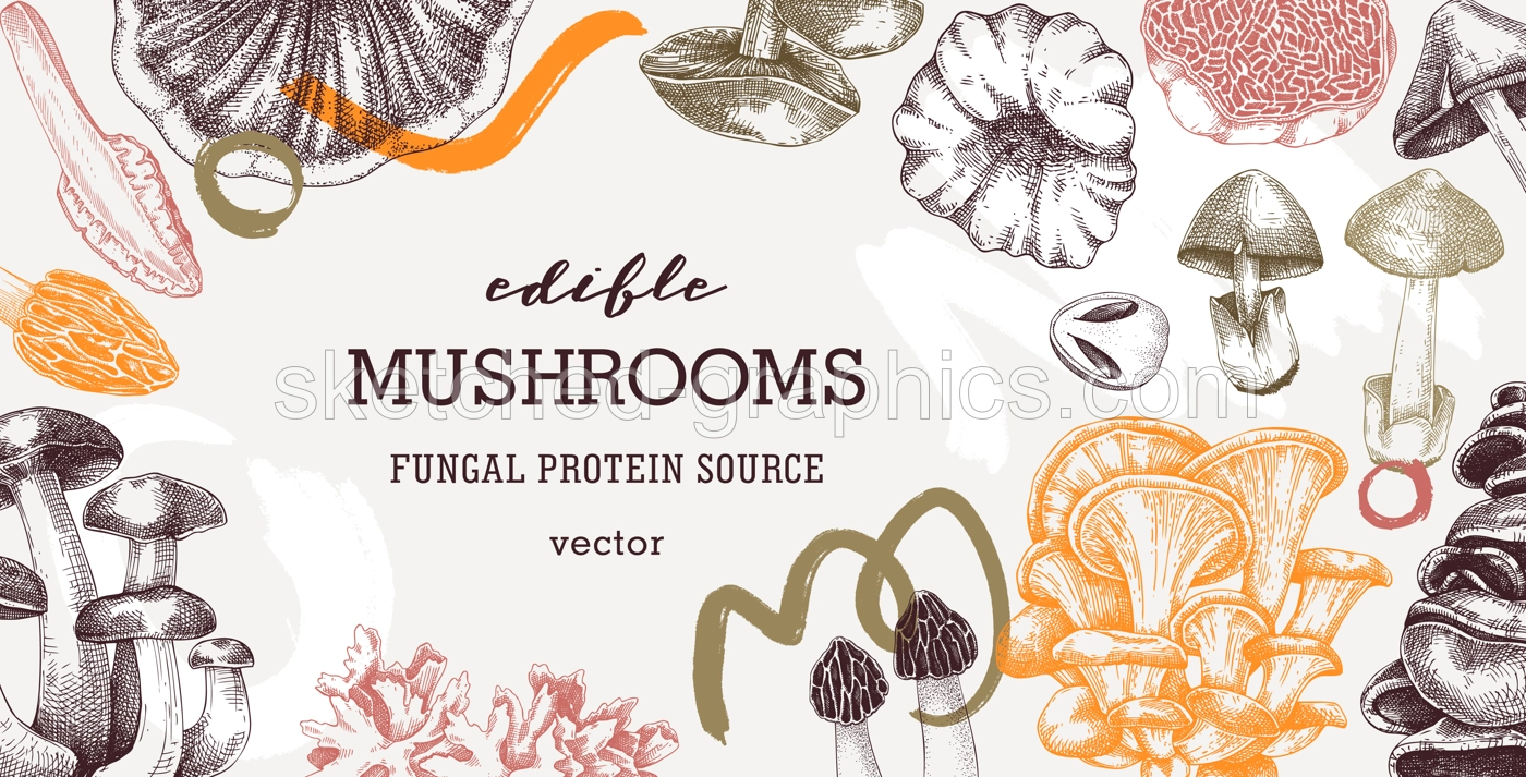 Collage-style mushrooms vector background. Trendy autumn forest plant frame. Fall banner design with hand drawn fungi sketches and abstract shapes. Healthy food, fungal protein vector illustration Illustration